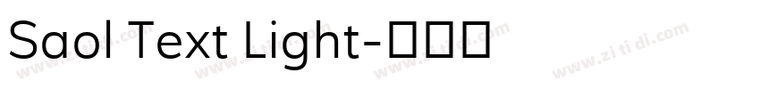 Saol Text Light字体转换
